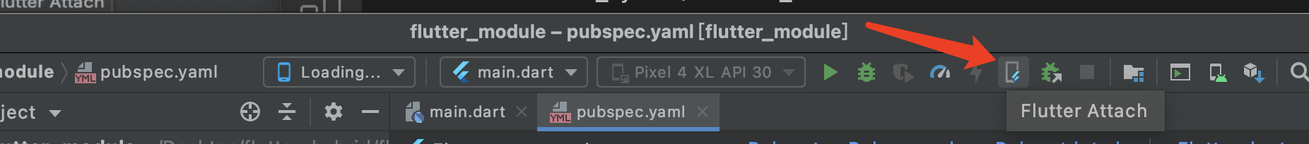 flutter-attach